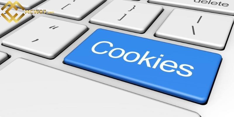 Điều khoản bảo mật về Cookies