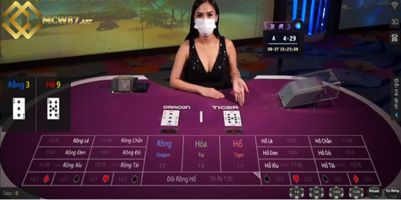 Những loại hình cược được dùng trong Rồng hổ