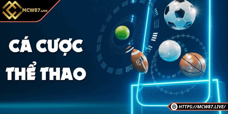 Hướng Dẫn Cá Cược Hấp Dẫn, Dễ Dàng Cho Người Mới 3 Hệ thống giải trí cá cược đỉnh cao