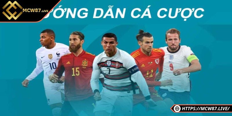 Hướng Dẫn Cá Cược Hấp Dẫn, Dễ Dàng Cho Người Mới 2 Hướng dẫn cá cược đơn giản chi tiết cho người mới